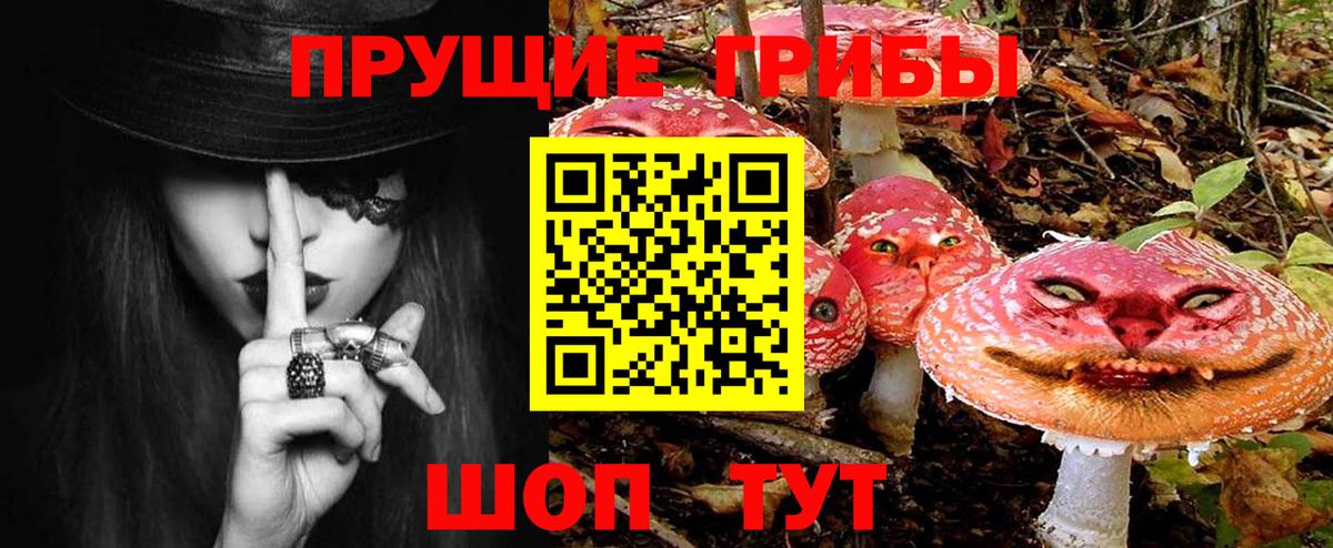 Псилоцибиновые грибы Psilocybe  Вход с VPN  Галлюциногенные грибы Magic Shrooms  купить наркотик  Людиново 
