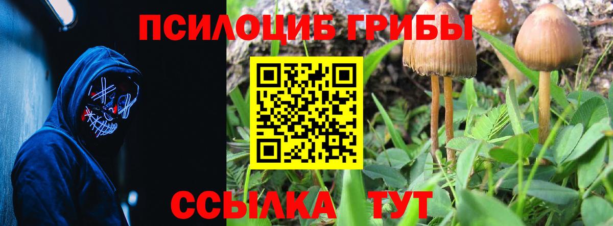 Галлюциногенные грибы Cubensis Людиново